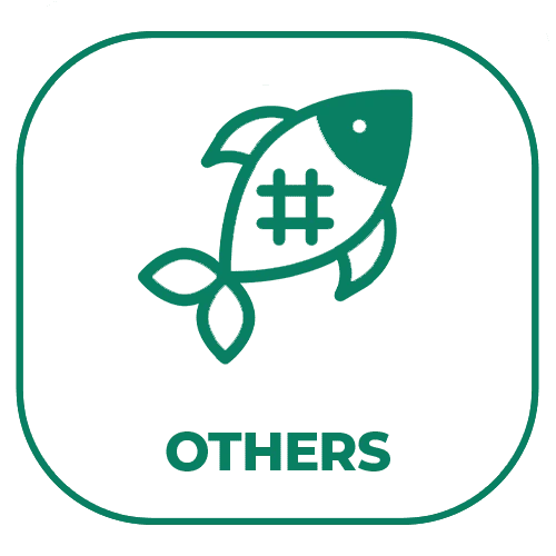Fishing Games